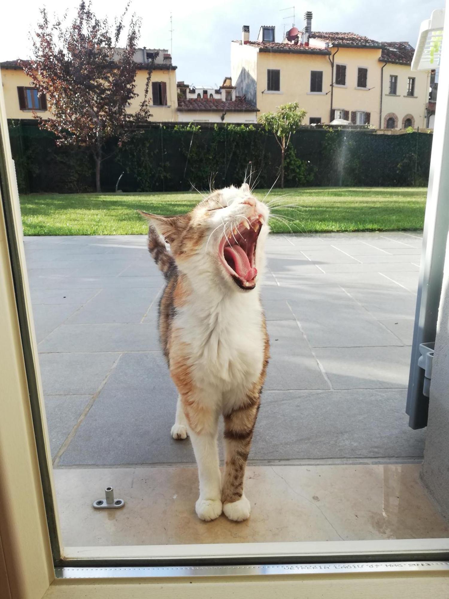 Apartamento Casa Di Pietro Aretino, Arezzo Centro Storico 4-8 Letti Exterior foto